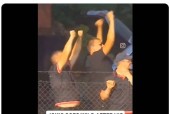 Kaiyun-包含阿扎伦卡迎来十二赛季出色发挥，塞尔维亚队观众热烈欢呼！的词条